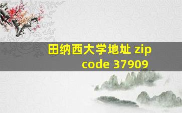 田纳西大学地址 zip code 37909